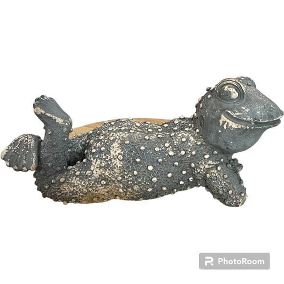 Vintage Relaxing Warty Garden Frog